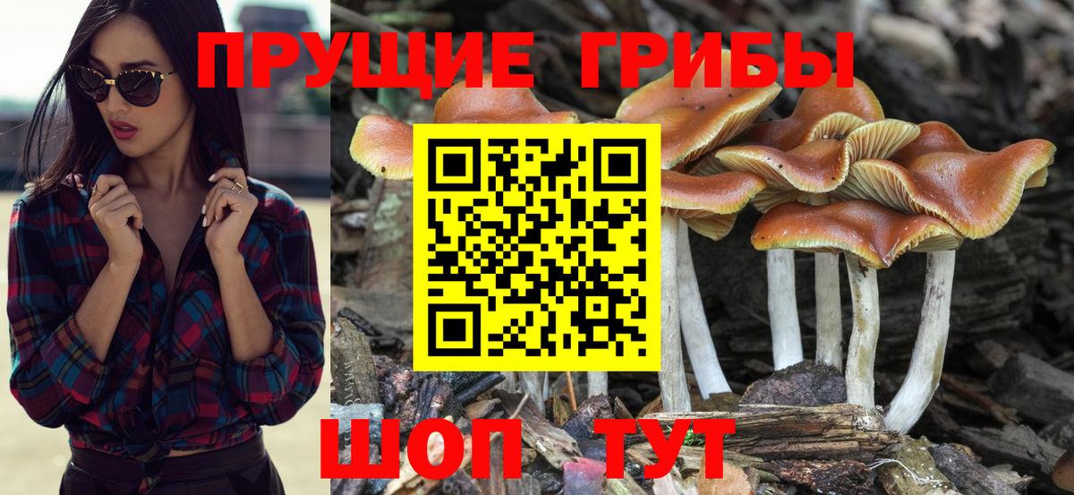 Галлюциногенные грибы мухоморы Белорецк