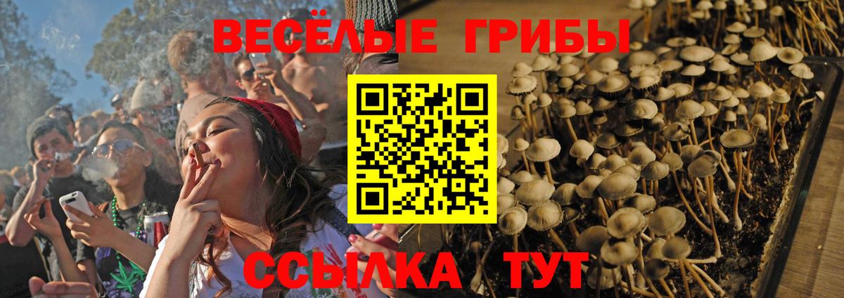 Псилоцибиновые грибы Psilocybe  Вход с VPN  Галлюциногенные грибы Magic Shrooms  Белорецк 